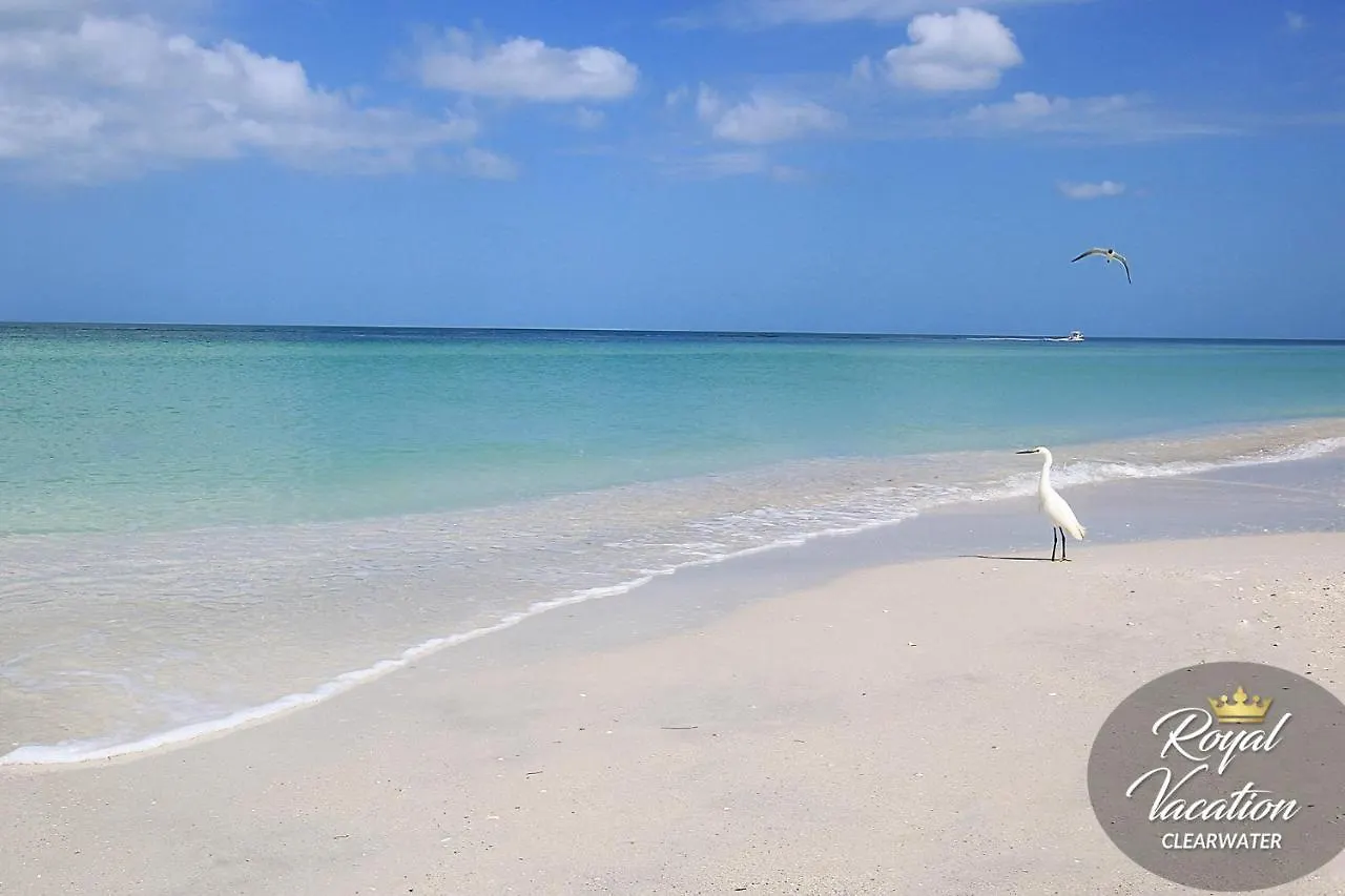 Avalon Paradise Apartment Clearwater